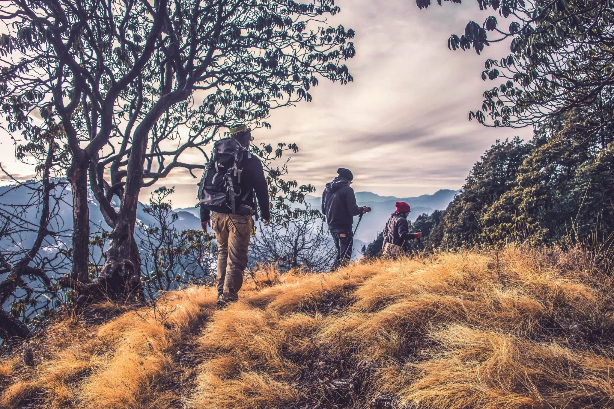 Trekking rotasında sırt çantalarıyla yürüyen üç doğa yürüyüşçüsü